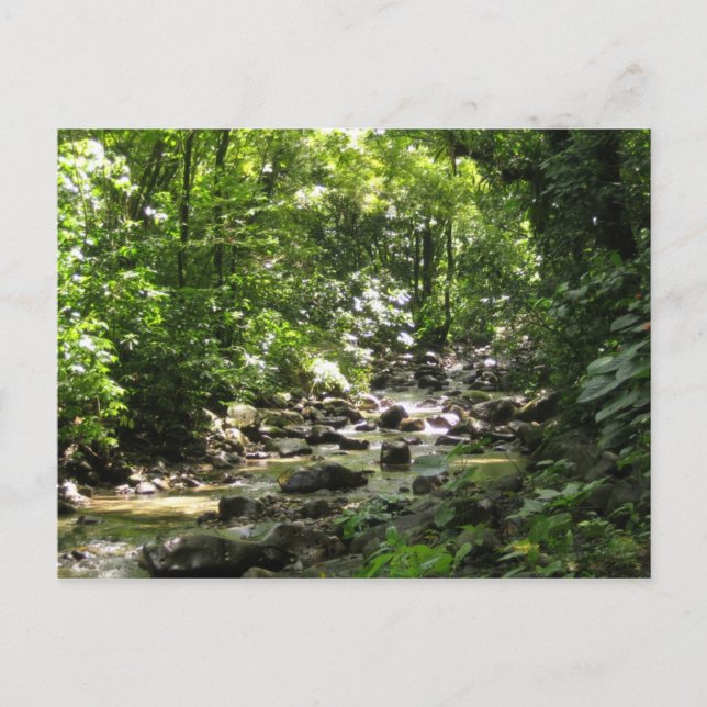 Cartão Postal Habitação Céron 1 - Martinica, F.W.I. (Frente)