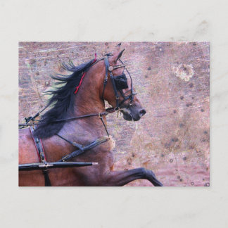 Cartão Postal Hackney Grunge