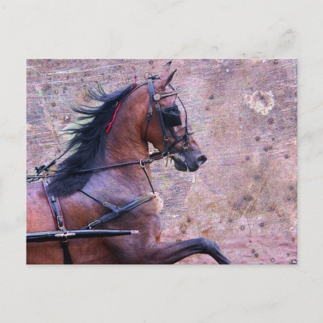 Cartão Postal Hackney Grunge (Frente)