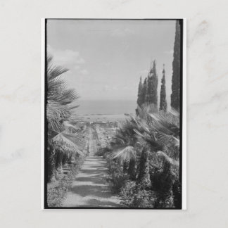 Cartão Postal Haifa - do Monte Carmel, 1920