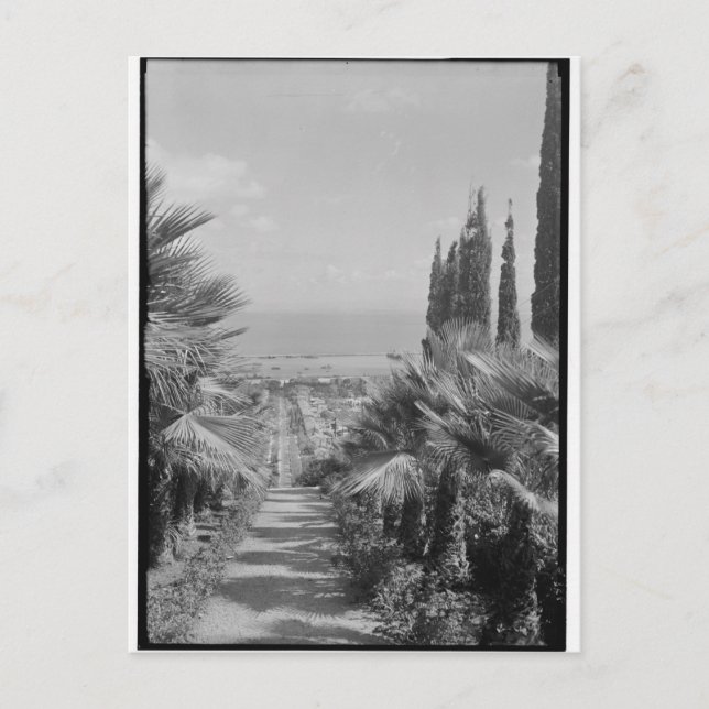Cartão Postal Haifa - do Monte Carmel, 1920 (Frente)