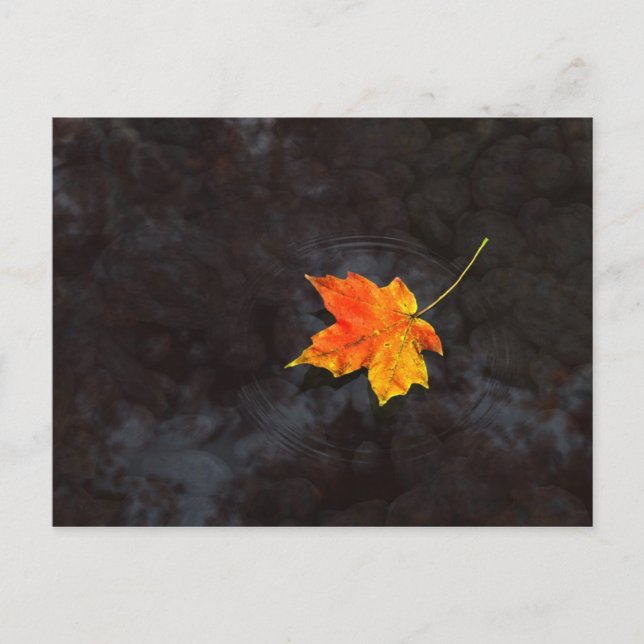 Cartão postal Haiku (Frente)