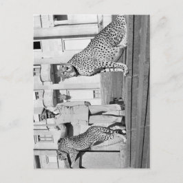 Cartão Postal Haile Selassie - HIM - Rastafari - Cartão-postal