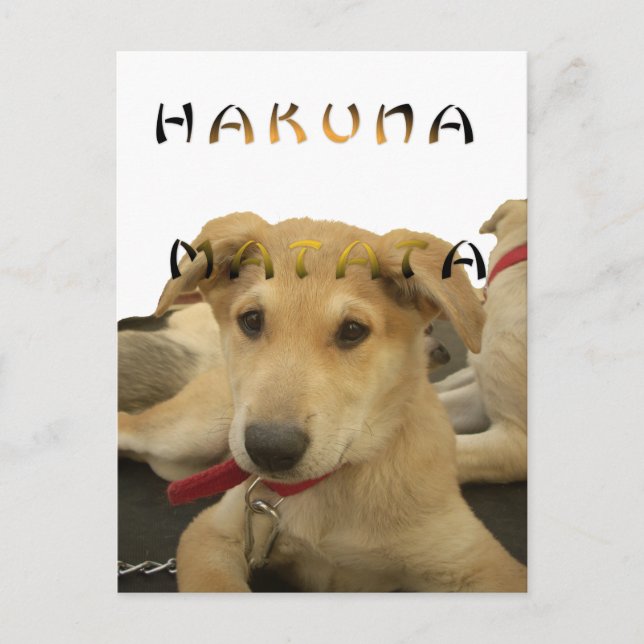 Cartão Postal Hakuna Matata Eu sei o que você está pensando (Frente)