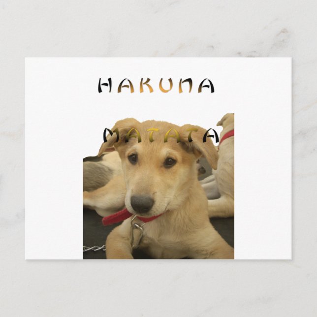 Cartão Postal "Hakuna Matata Pup" - Amor Sem Preocupação (Frente)