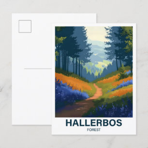 Cartão Postal Hallerbos Forest Halle Brabant Flandria Belgia