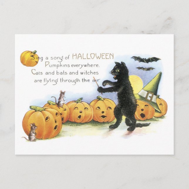 Cartão Postal Halloween antigo, gato preto e abóboras (Frente)