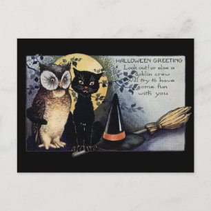 Cartão Postal Halloween Black Cat and Owl