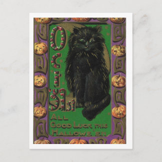 Cartão Postal Halloween Black Cat Mice Mouse Postcard