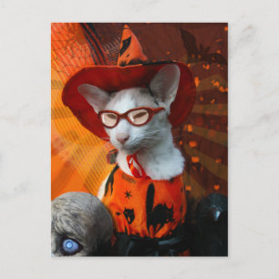 Cartão Postal Halloween Cat
