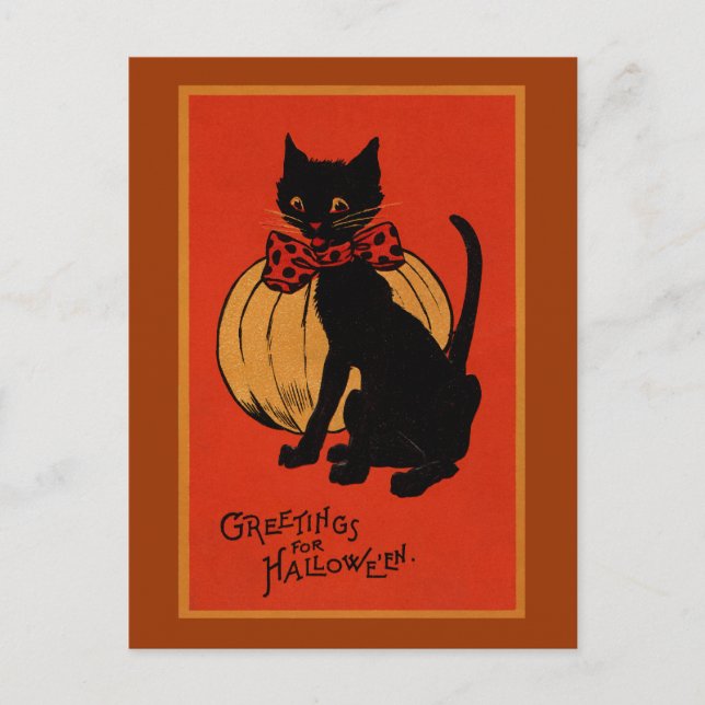 Cartão Postal Halloween Cat e Pumpkin (Frente)