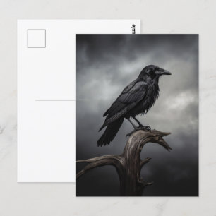 Cartão Postal Halloween Crow