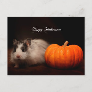 Cartão Postal Halloween de Oreo