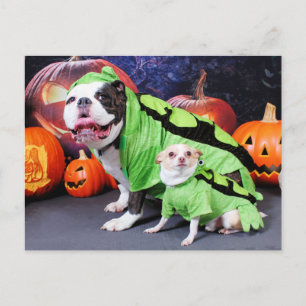 Cartão Postal Halloween English Bulldog Spike - Chihuahua Gizmo
