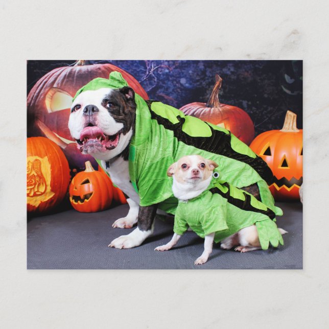 Cartão Postal Halloween English Bulldog Spike - Chihuahua Gizmo (Frente)
