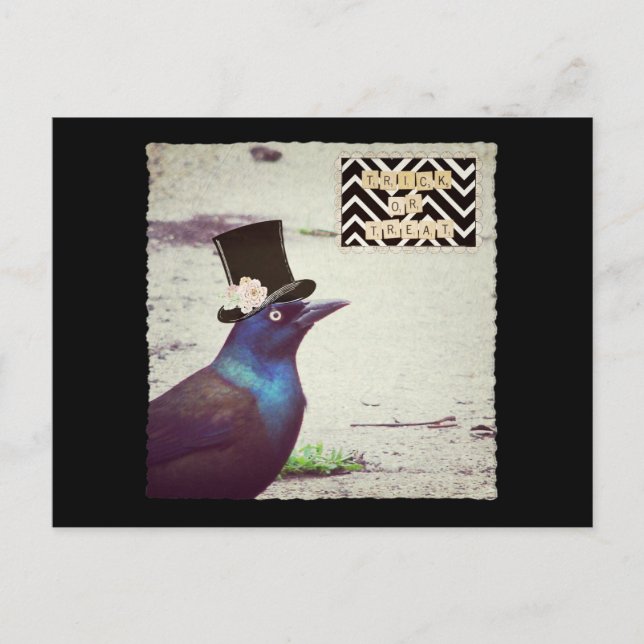 Cartão Postal Halloween Grackle (Frente)