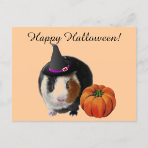 Cartão Postal Halloween Guiné Pig