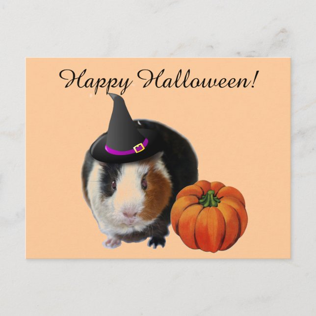 Cartão Postal Halloween Guiné Pig (Frente)