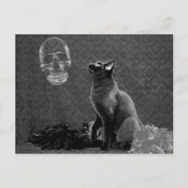 Cartão Postal Halloween Happy e o Fantasma (Frente)