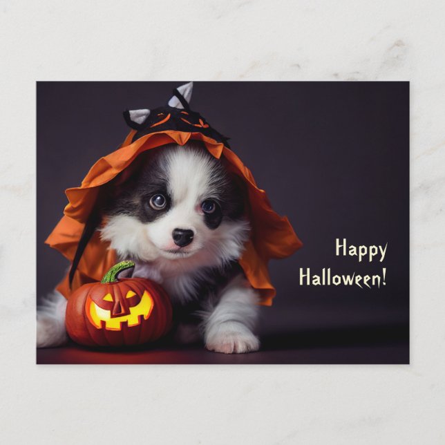 Cartão Postal Halloween Hund. Welpe mit Kürbissen. Niedlich. (Frente)
