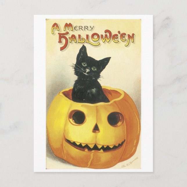 Cartão Postal Halloween Jack-o-lanterno antigo, gato negro (Frente)