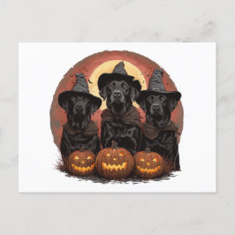 Cartão Postal Halloween Labrador Retriever Cachorros Bruxos