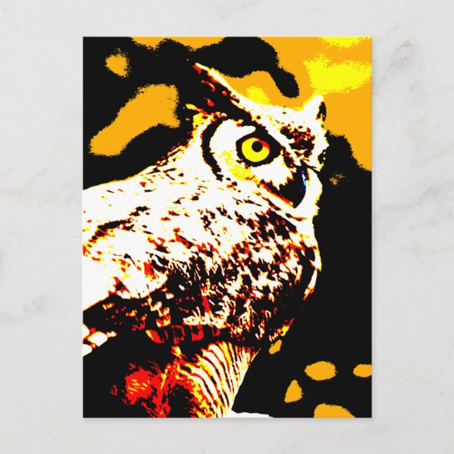 Cartão Postal Hallowe'en Owl (Frente)