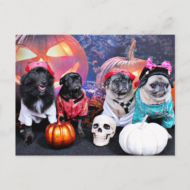 Cartão Postal Halloween - Pug - Bruno Pearl Bear Wiggens (Frente)