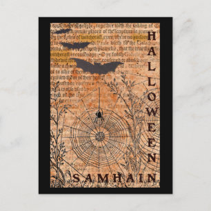 Cartão Postal Halloween Samhain Spider Webs