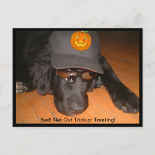 Cartão Postal Halloween Triste Sem Doce ou Travessura