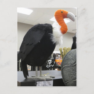 Cartão Postal Halloween Vulture
