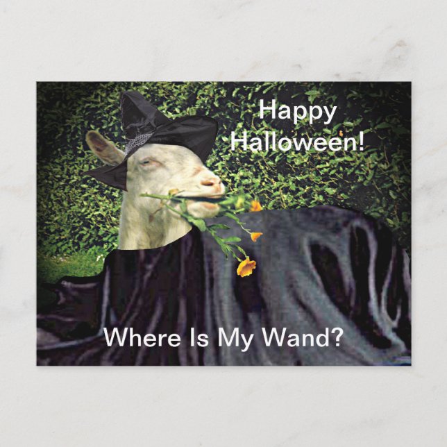 Cartão Postal Halloween Wizard Goat (Frente)