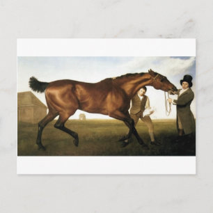 Cartão Postal Hambletónia por George Stubbs