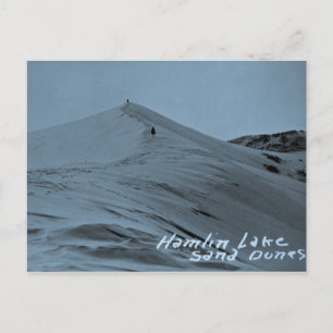 Cartão Postal Hamlin Lake Sand Dunes, Michigan