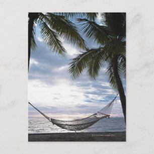 Cartão Postal Hammock