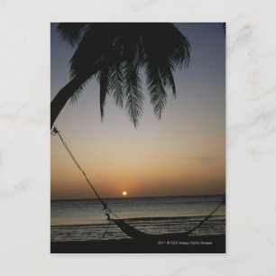 Cartão Postal Hammock vazio e silenciado ao pôr do sol