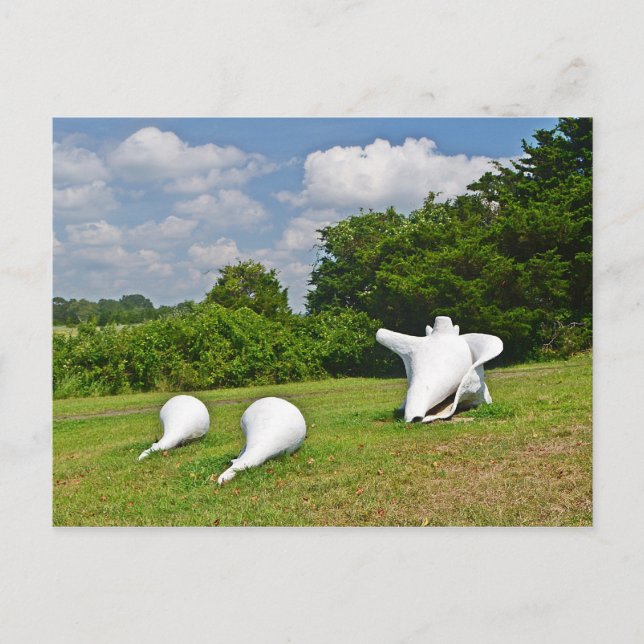 Cartão postal Hammonasset (Frente)