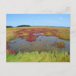 Cartão postal Hammonasset