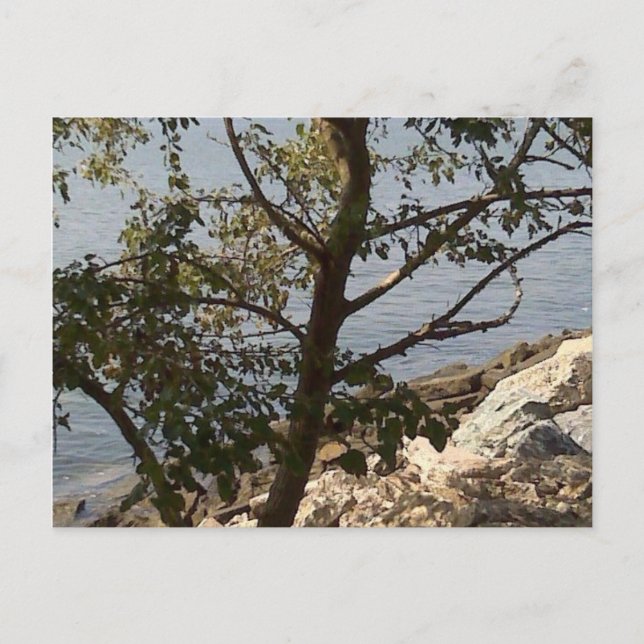 Cartão Postal Hampton, opinião de baía de chesapeake do VA (Frente)