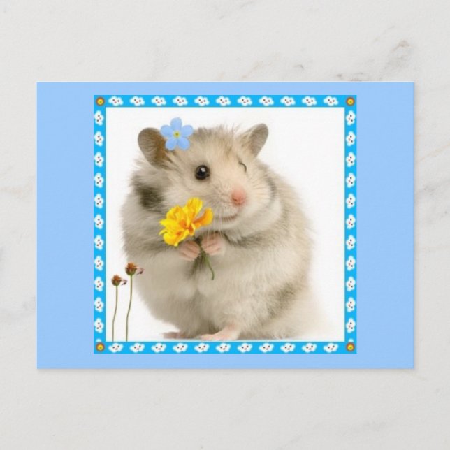 Cartão Postal hamster (Frente)