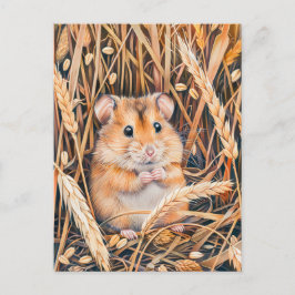 Cartão Postal Hamster de Campo no Grain Ouro