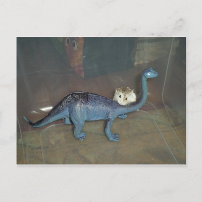 Cartão Postal Hamster em um dinossauro (Frente)
