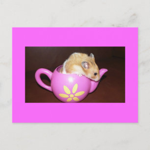 Cartão Postal Hamster no Cartão-postal do Pote Tea
