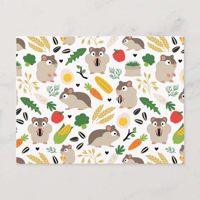 Cartão Postal Hamsters E Seus Tratamentos (Frente)
