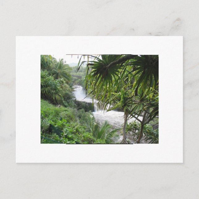 Cartão Postal Hana, MAUI (Frente)