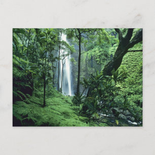 Cartão Postal Hanakapiai Falls ao longo da costa de Na Pali, Kau