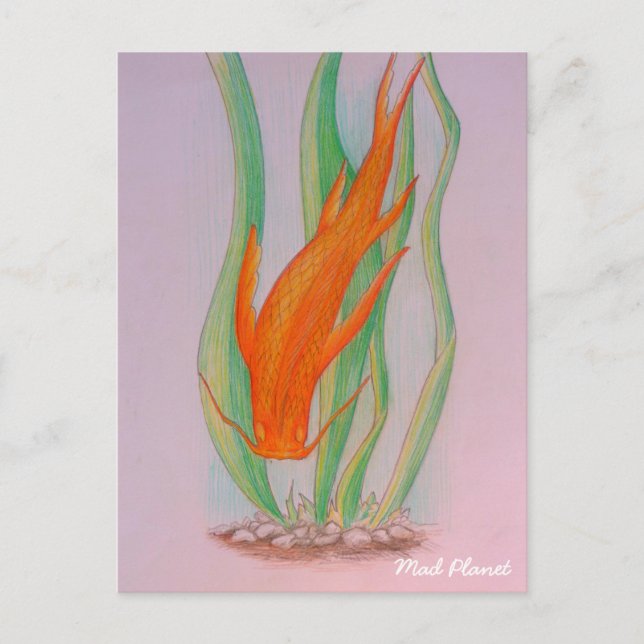 Cartão Postal Hand Drawn Koi Carp (Frente)