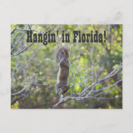 Cartão Postal Hangin' na Florida
