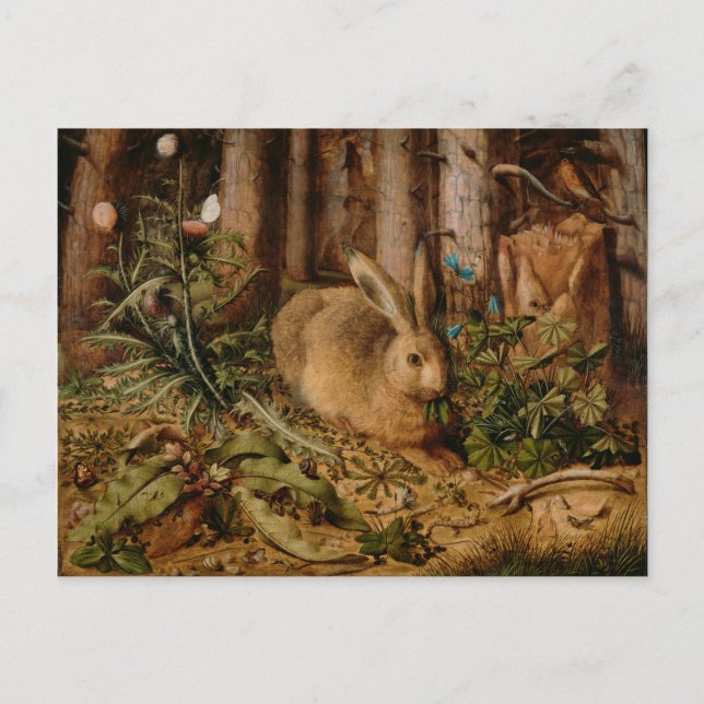 Cartão Postal Hans Hoffmann A Hare In The Forest (Frente)