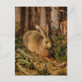 Cartão Postal Hans Hoffmann A Hare In The Forest